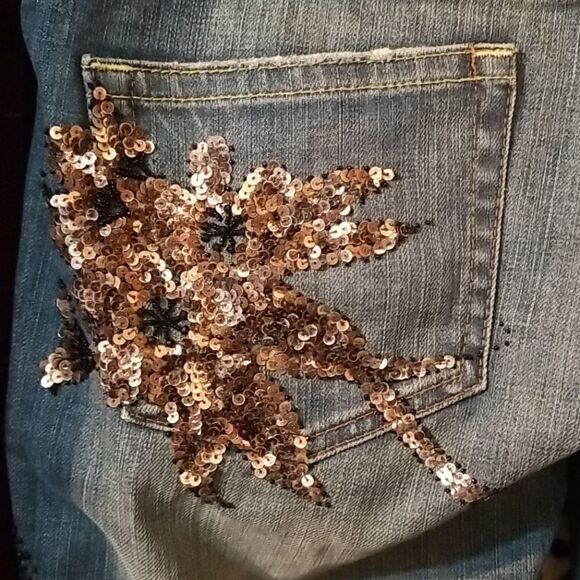 Buffalo Jeans w/ Sequins and Beading by David Bitton Edition - Picture 2 of 8